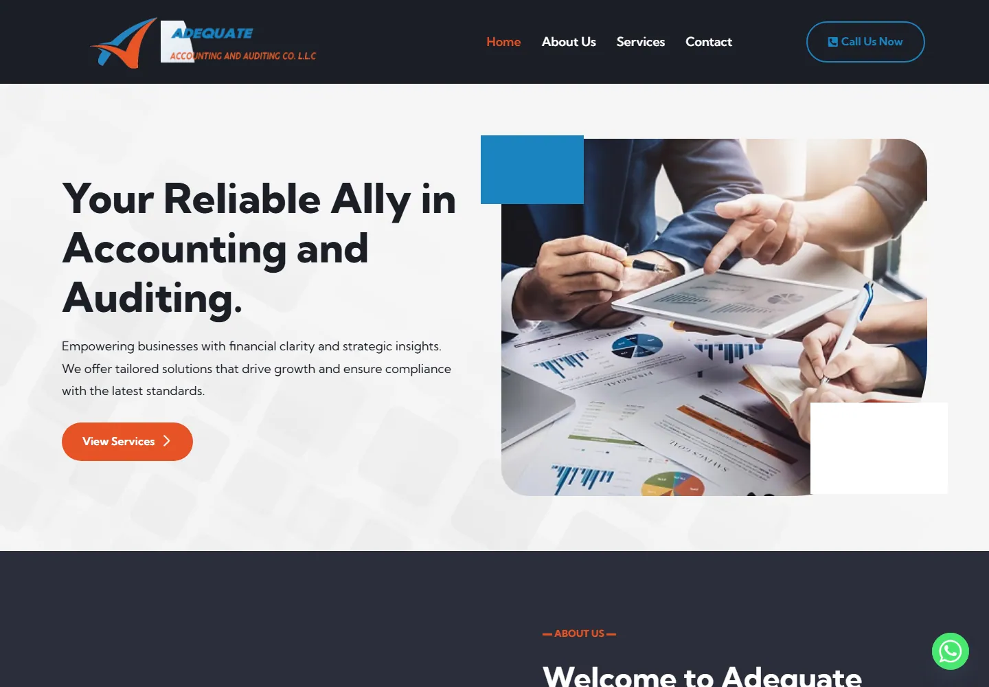 Adequate Accounting & Auditing Co. LLC
